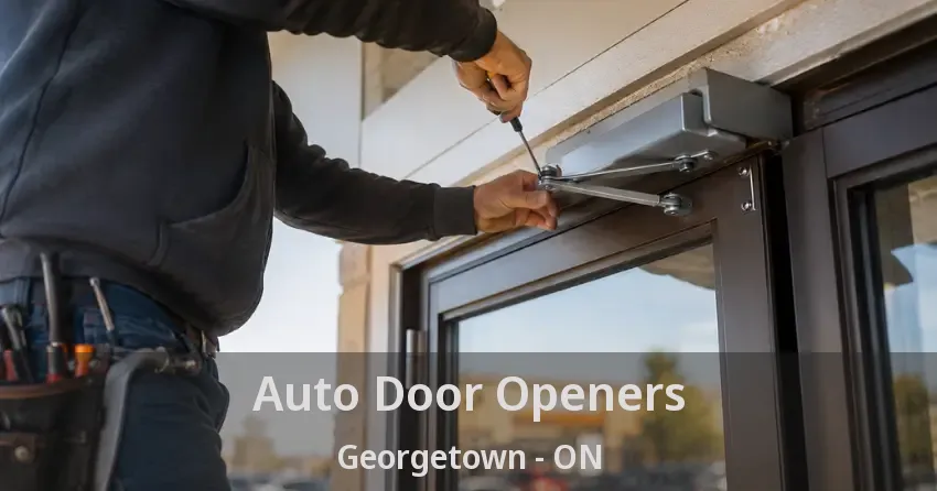 Auto Door Openers Georgetown - ON