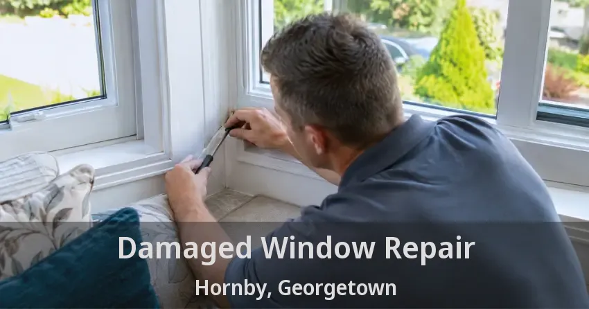 Damaged Window Repair Hornby, Georgetown - ON