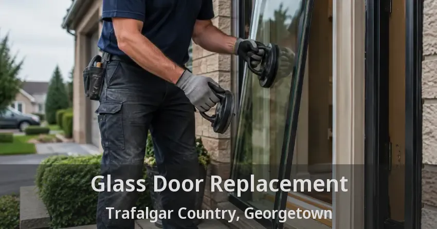 Glass Door Replacement Trafalgar Country, Georgetown - ON