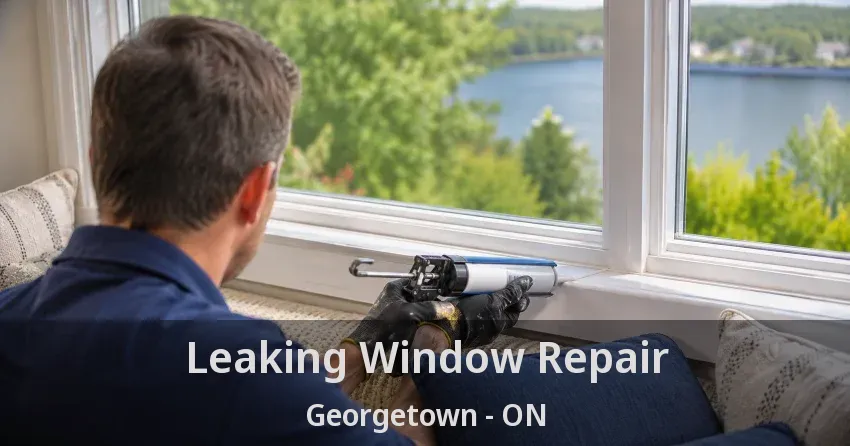 Leaking Window Repair Georgetown - ON