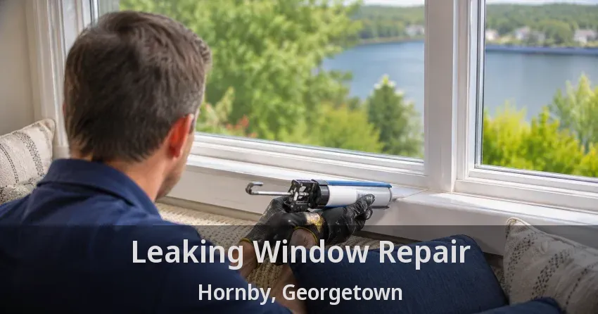 Leaking Window Repair Hornby, Georgetown - ON