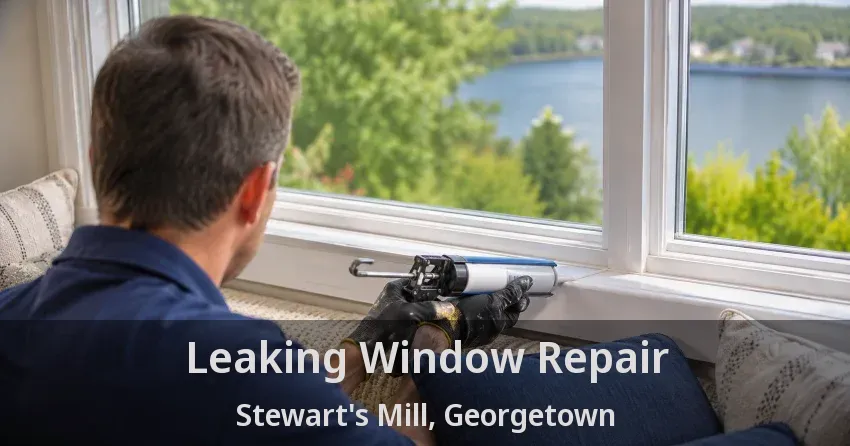 Leaking Window Repair Stewart's Mill, Georgetown - ON