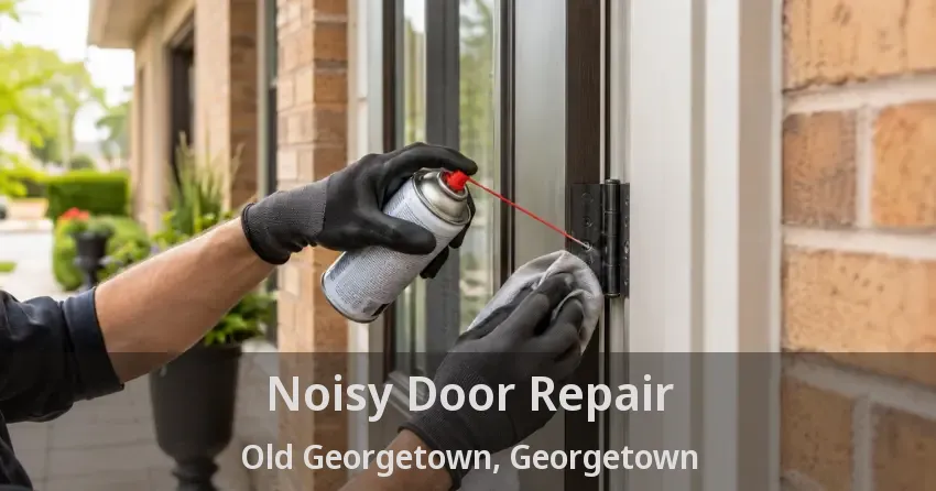 Noisy Door Repair Old Georgetown, Georgetown - ON