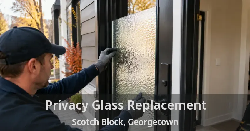 Privacy Glass Replacement Scotch Block, Georgetown - ON