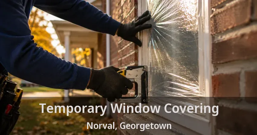 Temporary Window Covering Norval, Georgetown - ON