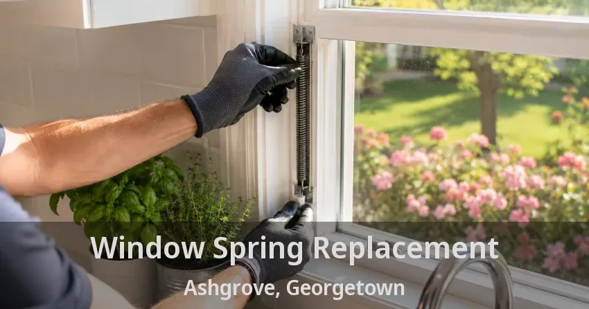 Window Spring Replacement Ashgrove, Georgetown - ON
