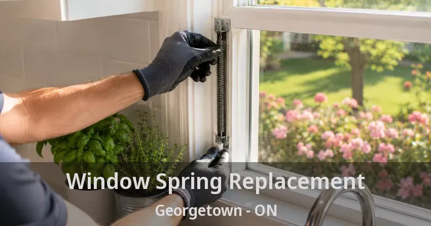 Window Spring Replacement Georgetown - ON